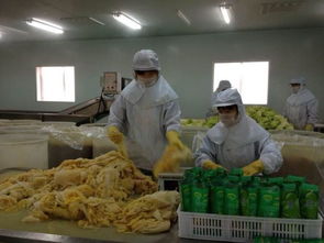 又 是 一 年 約 菜 季