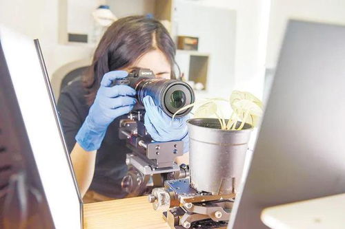 來,帶你看一看 看不見 的科學(xué)之美