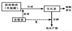 下列關(guān)于細(xì)胞結(jié)構(gòu)和功能的敘述中.錯(cuò)誤的是a.植物葉肉細(xì)胞線粒體基質(zhì)中的co2可以直接穿越8層磷脂分子參與光合作用過(guò)程b.細(xì)胞內(nèi)的atp不一定都在生物膜上合成c.葉綠體中基粒和類囊體擴(kuò)展了捕獲光能的膜面積