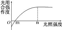 如圖為光合作用與光照強(qiáng)度之間關(guān)系的曲線,光照強(qiáng)度在n點(diǎn)時(shí),限制光合作用強(qiáng)度進(jìn)一步升高的主要因素是