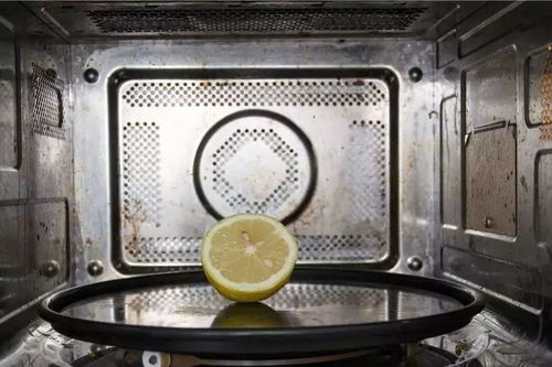 看完嚇一跳 這8個(gè)廚房用品上有300多種細(xì)菌,你可能每天都在用