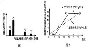 下列圖1表示利用大豆幼苗的綠葉進行色素提取和分離實驗的結果,圖2表示溫室中該幼苗的光合速率 呼吸速率隨溫度變化的曲線 據(jù)圖分析錯誤的是 a.甲 乙主要吸收藍紫光和紅光