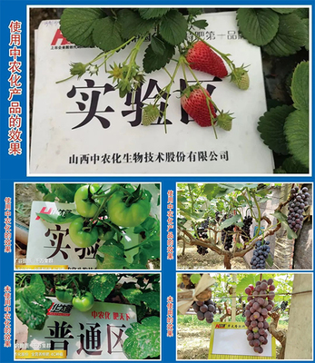 【產品推薦】改良土壤、預防病害,就選硅鈣鎂中微肥系列