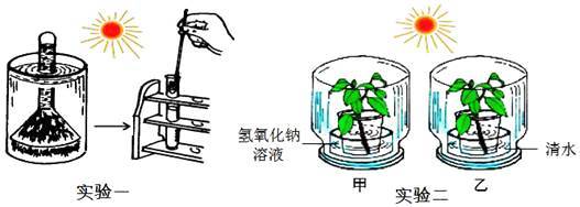 某學校生物科技活動小組的同學們對&ldquo;環境因素對光合作用強度的影響&rdquo;,設計了如下A、B兩組實驗: