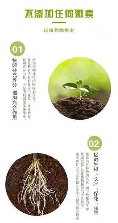 青菜專用葉綠素葉面肥 提升光合作用，強(qiáng)健植株的全方位解決方案