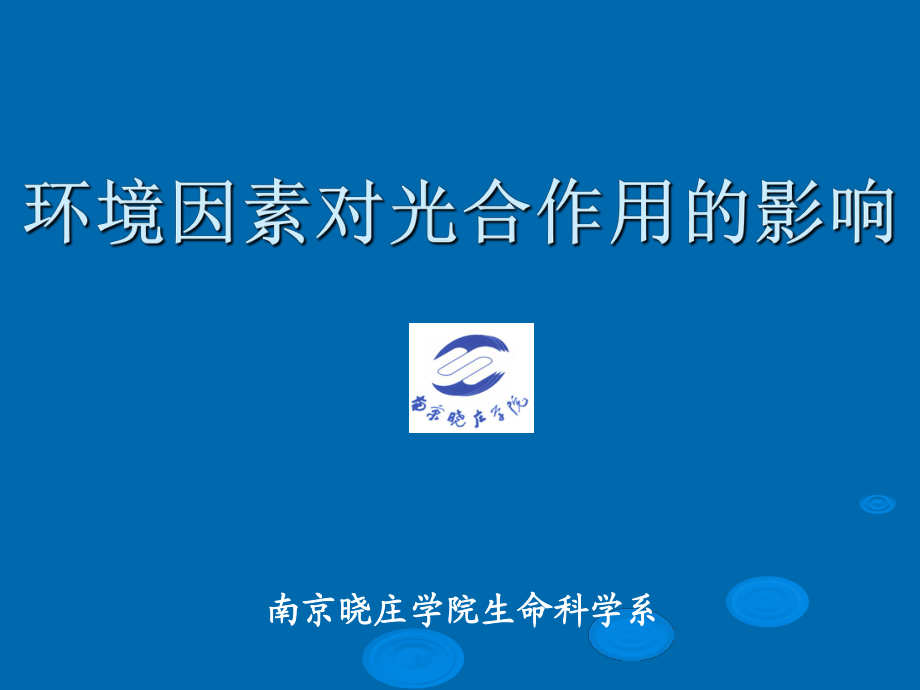 光照、溫度與二氧化碳 環境因素如何影響光合作用效率